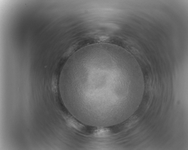 X0000068770274200605051639