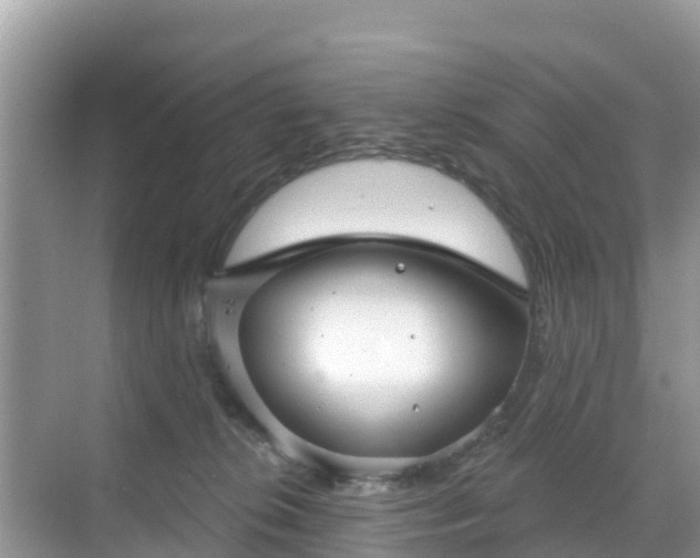 X0000068770276200605051639