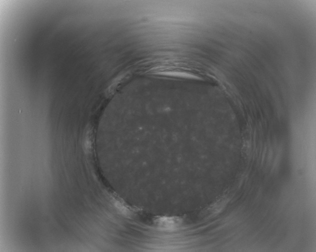 X0000068770277200605051639