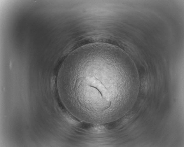 X0000068770278200605051639