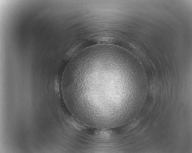 X0000068770282200605051639