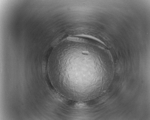 X0000068770283200605051639