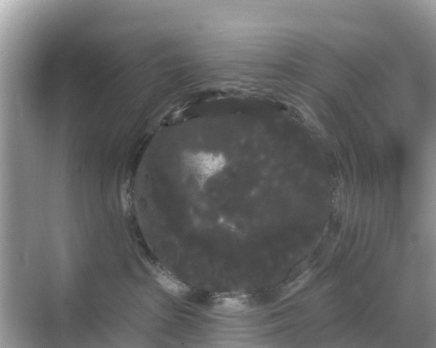 X0000068770285200605051639