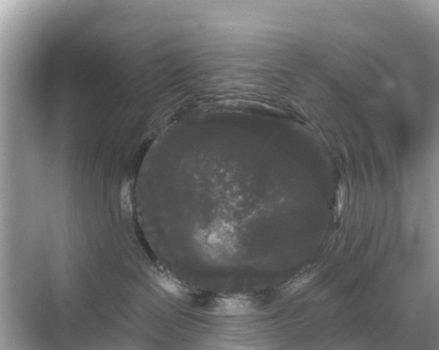 X0000068770286200605051639