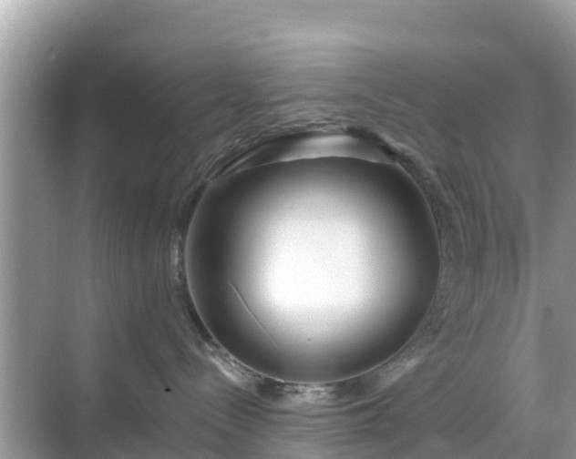 X0000068770288200605051639