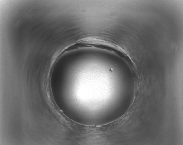 X0000068770289200605051639