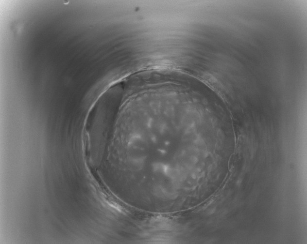 X0000068770290200605051639