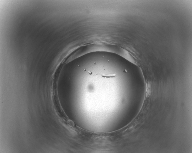 X0000068770291200605051639