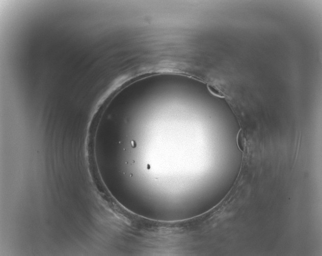 X0000068770292200605051639