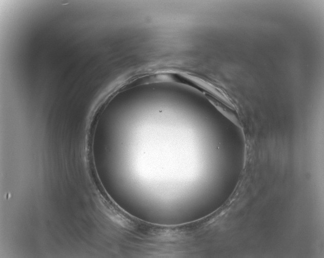 X0000068770293200605051639