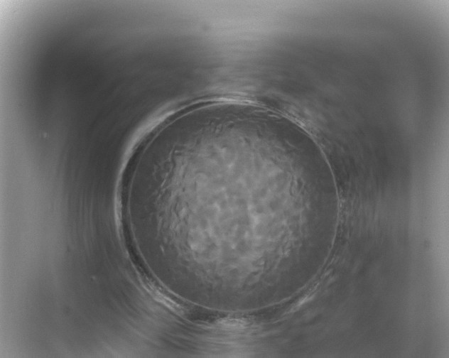 X0000068770294200605051639