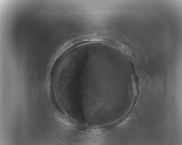 X0000068770295200605051639