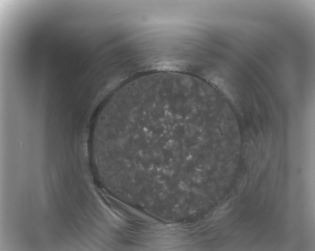 X0000068770299200605051638