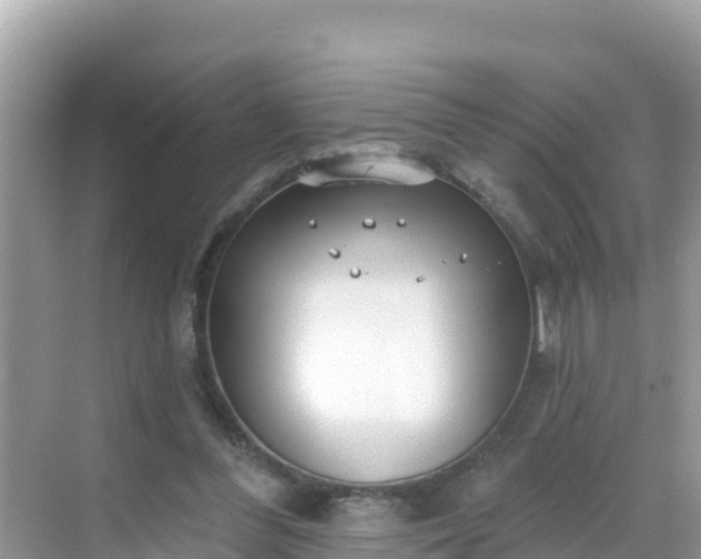 X0000068770300200605051638