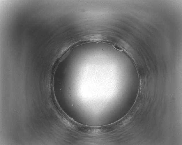 X0000068770301200605051638