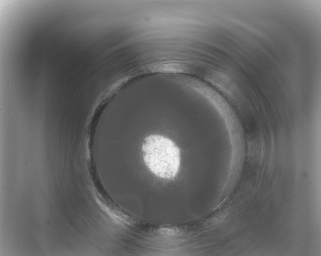 X0000068770302200605051638