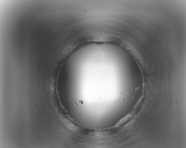 X0000068770305200605051638