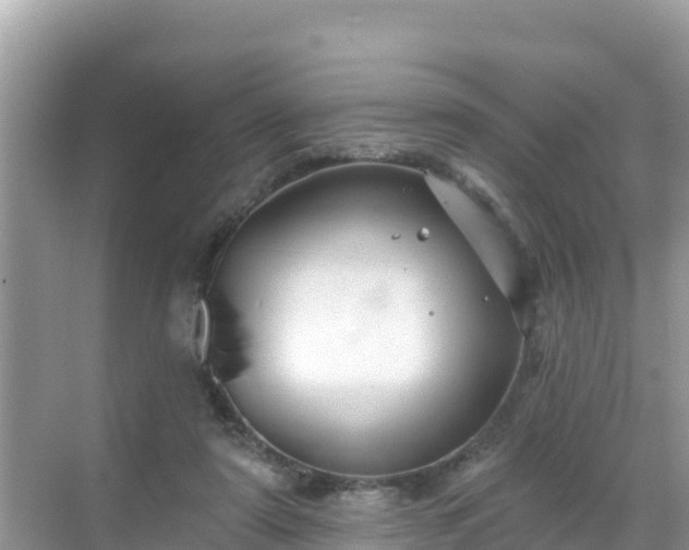 X0000068770307200605051638