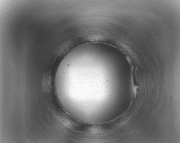 X0000068770308200605051638