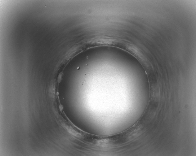 X0000068770309200605051638