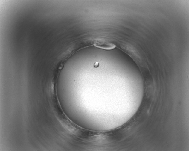 X0000068770310200605051638