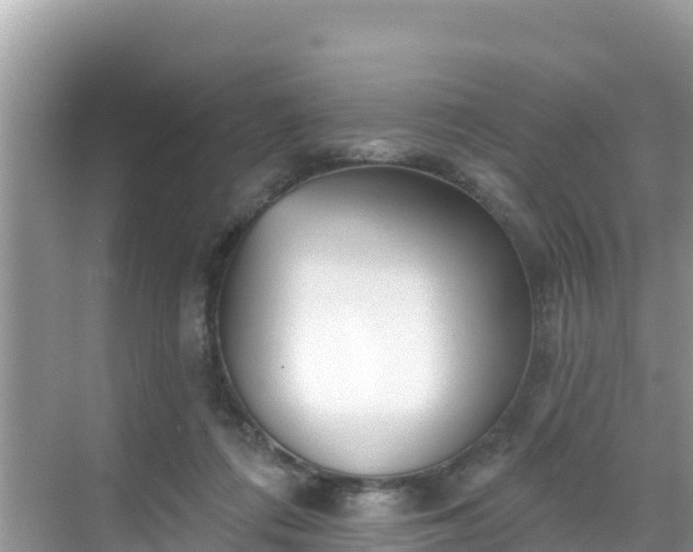 X0000068770312200605051638