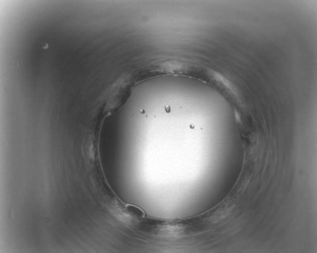 X0000068770313200605051638