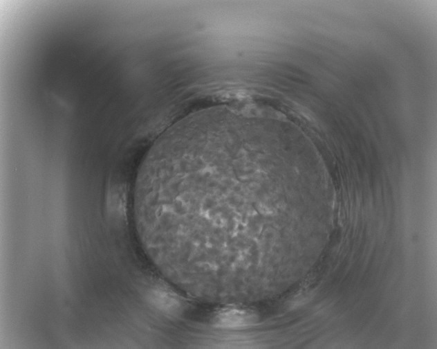 X0000068770315200605051638