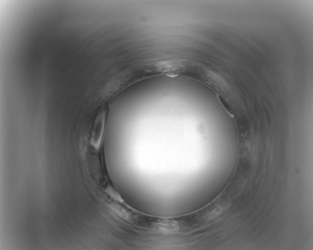 X0000068770317200605051638