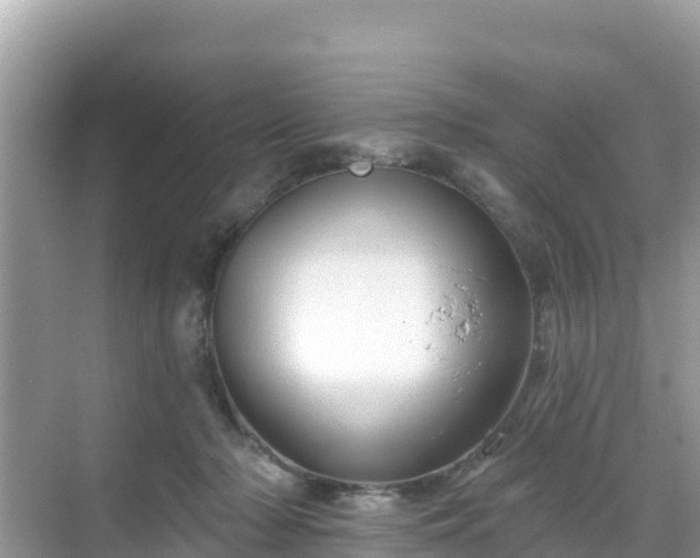 X0000068770318200605051638