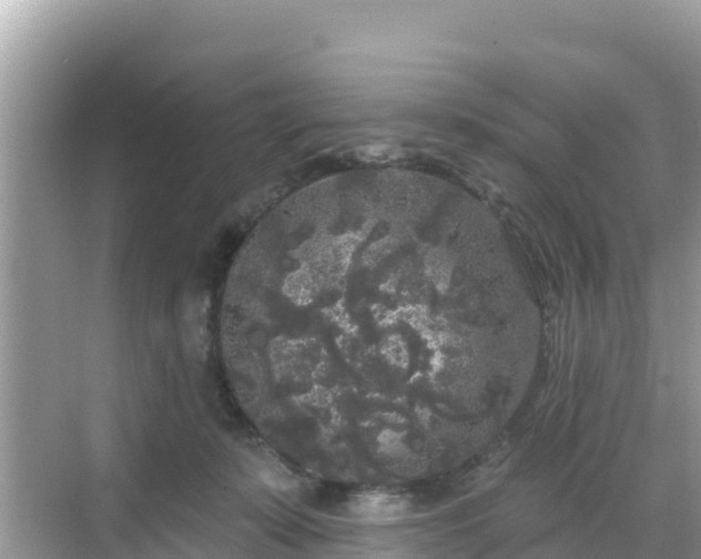 X0000068770319200605051638