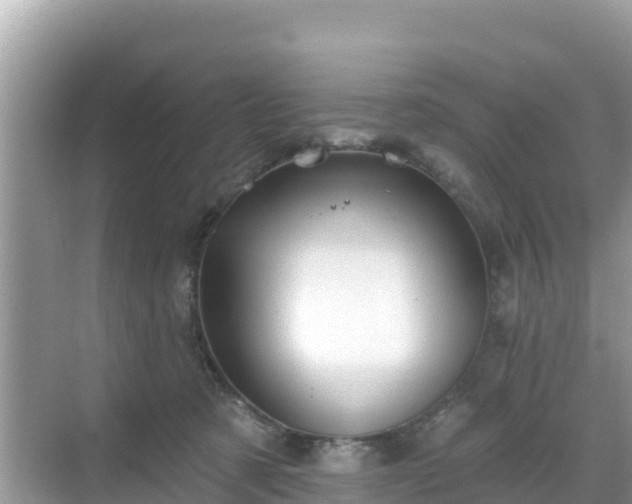 X0000068770321200605051638