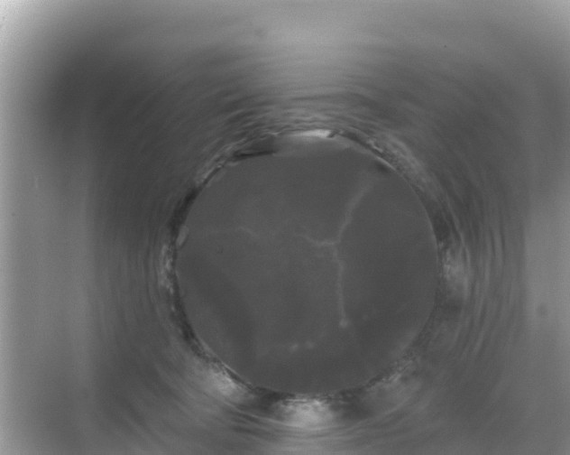 X0000068770322200605051638