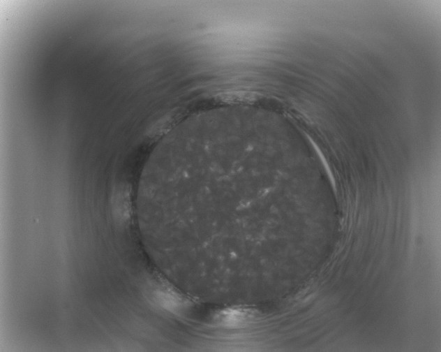 X0000068770323200605051638