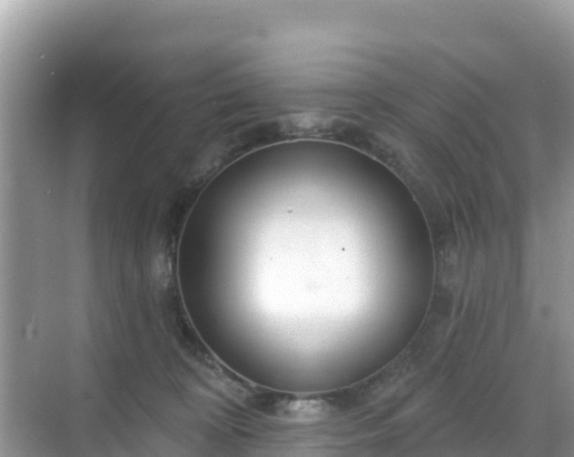 X0000068770324200605051638