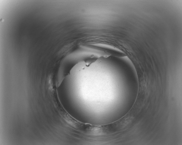 X0000068770325200605051638