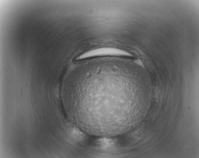 X0000068770326200605051638