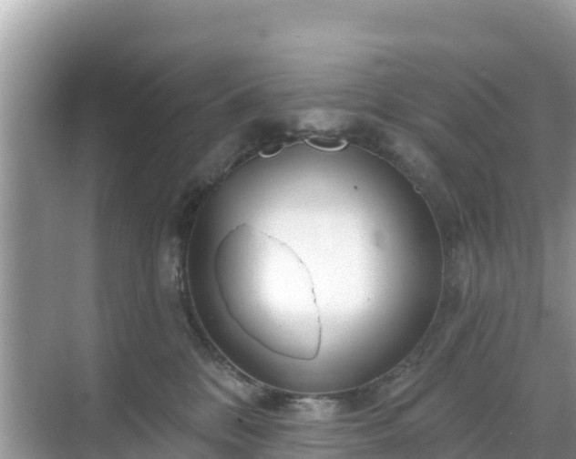 X0000068770328200605051638