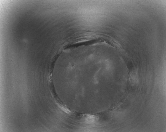 X0000068770330200605051638