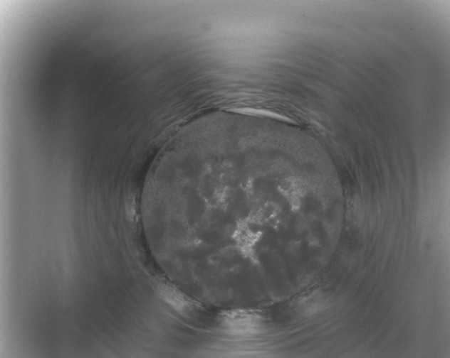 X0000068770331200605051638