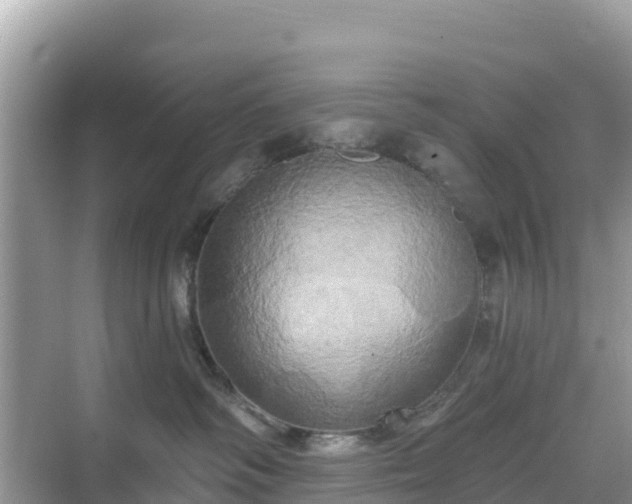 X0000068770334200605051638