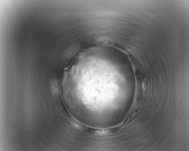 X0000068770335200605051638