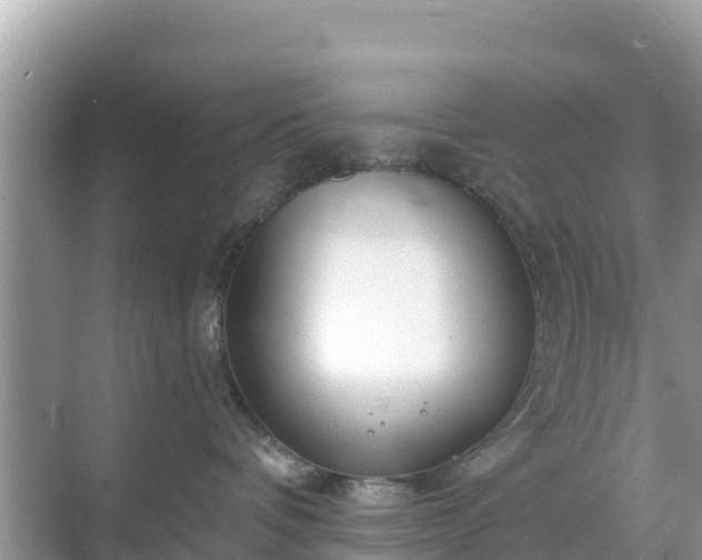 X0000068770336200605051638