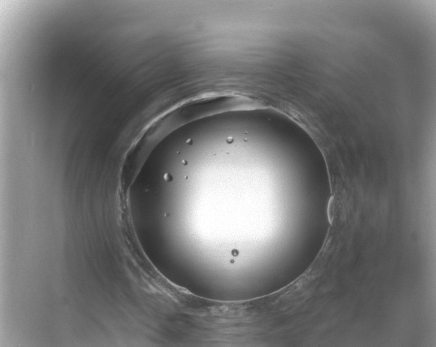 X0000068770338200605051637