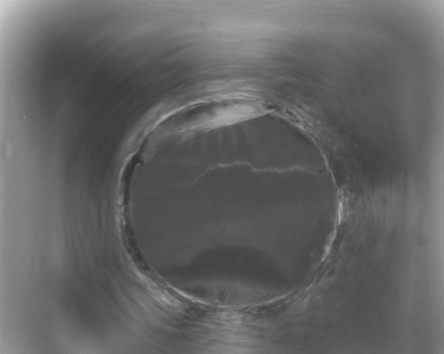 X0000068770339200605051637