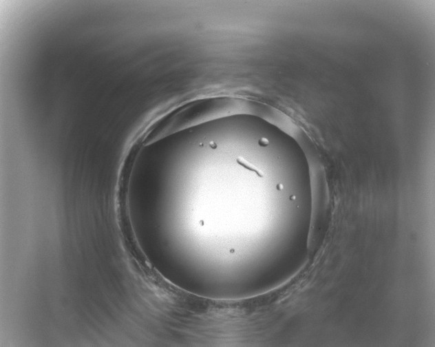 X0000068770340200605051637