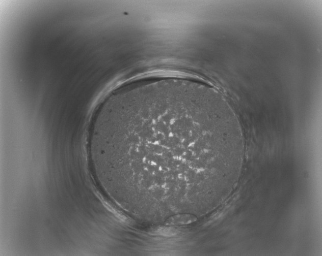 X0000068770341200605051637