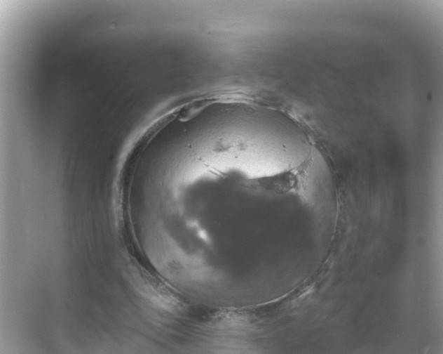 X0000068770343200605051637