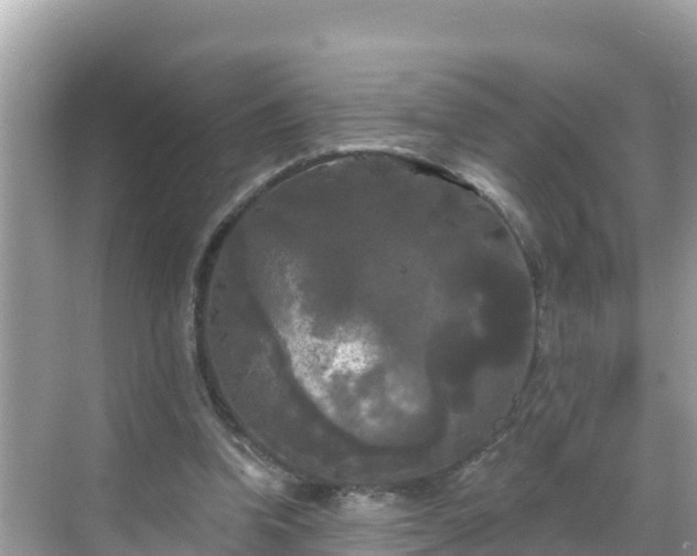 X0000068770346200605051637