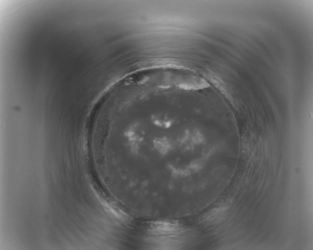 X0000068770347200605051637